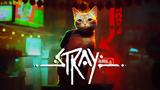 Stray Review,