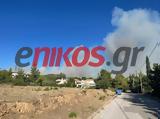 Νταού Πεντέλης, Νέες, – ΒΙΝΤΕΟ, ΦΩΤΟ,ntaou pentelis, nees, – vinteo, foto