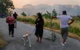Πυρκαγιά, Πεντέλη, Όλα,pyrkagia, penteli, ola