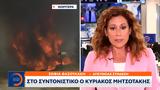 Κυριάκος Μητσοτάκης,kyriakos mitsotakis