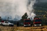 Βελτιωμένη, Μέγαρα,veltiomeni, megara