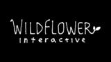 Ανακοίνωση, Wildflower Interactive, Bruce Straley,anakoinosi, Wildflower Interactive, Bruce Straley