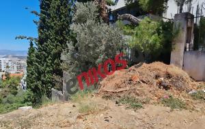 Παρατημένα, Καρέα – Καταγγελία, paratimena, karea – katangelia