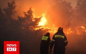 Φωτιά, Σουφλί, Σηκώθηκαν, Δαδιάς, fotia, soufli, sikothikan, dadias