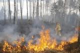 Φωτιά ΤΩΡΑ, Βασιλική Ιεράπετρας,fotia tora, vasiliki ierapetras