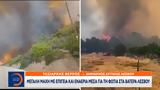 Δήμαρχος Δυτικής Λέσβου, Βατερά,dimarchos dytikis lesvou, vatera