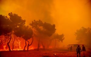 Λέσβο, Δαδιά Έβρου — Αδιάκοπη, lesvo, dadia evrou — adiakopi