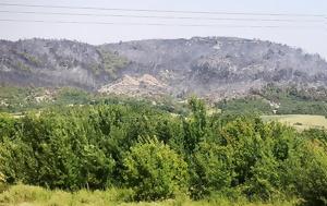 Μοναστήρι, Δαδιάς, monastiri, dadias