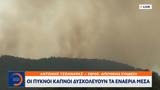 Τέταρτη, Δαδιάς,tetarti, dadias