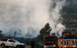 Κρήτη, Φωτιά, Πέτρινη Πολιτεία, Φαιστό - Επιχειρούν, kriti, fotia, petrini politeia, faisto - epicheiroun