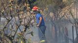 Δήμαρχος Ανδρίτσαινας – Κρεστένων,dimarchos andritsainas – krestenon