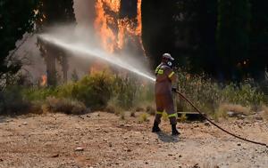 Φωτιά, Πέλλα – Επιχειρούν, Πυροσβεστικής, fotia, pella – epicheiroun, pyrosvestikis