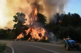 Αναζωπυρώσεις, Λέσβο - Περισσότερες, 140,anazopyroseis, lesvo - perissoteres, 140