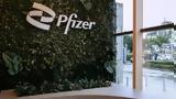 Pfizer, Έκλεισε, Κέντρο Επιχειρησιακών Λειτουργιών, Υπηρεσιών, Θεσσαλονίκη,Pfizer, ekleise, kentro epicheirisiakon leitourgion, ypiresion, thessaloniki