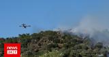 Φωτιά, Λινίσταινα Ηλείας - Σηκώθηκαν,fotia, linistaina ileias - sikothikan