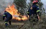 Φωτιά, Ελληνοχώρι Κορινθίας,fotia, ellinochori korinthias