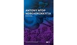 Νεφελοκοκκυγία, Πούλιτζερ Άντονυ Ντορ,nefelokokkygia, poulitzer antony ntor