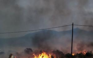 Φωτιά, Πυρκαγιά, Αταλάντη, fotia, pyrkagia, atalanti