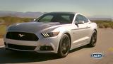 TractioN 2015 | Ford Mustang,Ford Focus RS