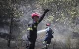 Πυρκαγιά, Σοφό Ασπροπύργου,pyrkagia, sofo aspropyrgou