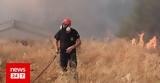 Μεσολόγγι, Καλύτερη, Στάμνα,mesolongi, kalyteri, stamna