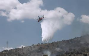 Πυρκαγιά, Άγιο Όρος, Κινητοποίηση, Πυροσβεστική, pyrkagia, agio oros, kinitopoiisi, pyrosvestiki