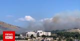 Φωτιά, Χαλκίδα, Καίει,fotia, chalkida, kaiei