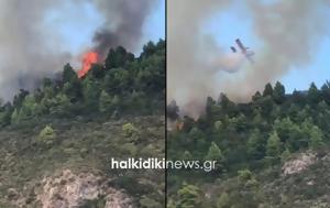 Χαλκιδική, Μεγάλη, Άγιον Όρος - Επιχειρούν 10, VIDEO, chalkidiki, megali, agion oros - epicheiroun 10, VIDEO