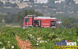 Μεγάλη, Λογγίτσι Φθιώτιδας –, megali, longitsi fthiotidas –