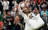 Σερένα Γουίλιαμς, Αποσύρεται, US Open,serena gouiliams, aposyretai, US Open