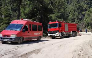 Φωτιά, Οινόφυτα, Κινητοποίηση, Πυροσβεστικής, fotia, oinofyta, kinitopoiisi, pyrosvestikis