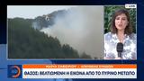 Θάσος, Βελτιωμένη,thasos, veltiomeni