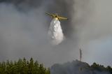 Φωτιά, Φλάμπουρα Πρέβεζας, Μεγάλη,fotia, flaboura prevezas, megali