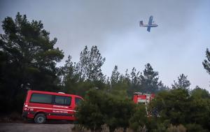 Φωτιά, Πυρκαγιά, Λοκρών Φθιώτιδας, fotia, pyrkagia, lokron fthiotidas