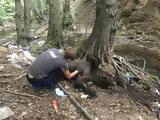 Σοκ, Φλώρινα, Σκότωσαν,sok, florina, skotosan