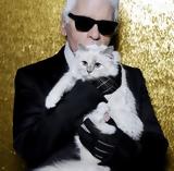 Choupette,Karl Lagerfeld