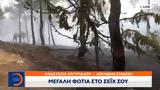 Έκτακτο Δελτίο, Μεγάλη, Σέιχ Σου,ektakto deltio, megali, seich sou