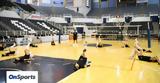 Volley League Γυναικών, ΠΑΟΚ,Volley League gynaikon, paok