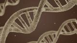 Μελέτες, DNA,meletes, DNA