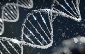 DNA