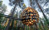 Biosphere,Treehotel