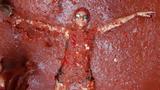 La Tomatina, Επέστρεψε, Ισπανίας,La Tomatina, epestrepse, ispanias