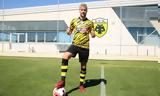 ΑΕΚ, Φαν Βέερτ – Είχε,aek, fan veert – eiche