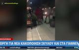 Γιάννενα, Οργή, – Δείτε,giannena, orgi, – deite