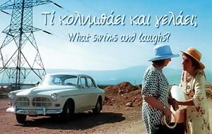 Τι κολυμπάει και γελάει