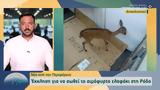Έκκληση, Ρόδο,ekklisi, rodo