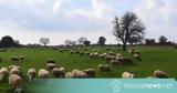 Μέτρα, Αγροτικής Ανάπτυξης, Τροφίμων,metra, agrotikis anaptyxis, trofimon