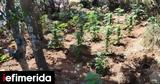 Κιλκίς, Συνελήφθη,kilkis, synelifthi