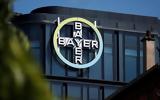 Bayer Ελλάς, Νέος, Level-up|G4A,Bayer ellas, neos, Level-up|G4A