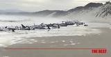Τασμανία, Εκατοντάδες,tasmania, ekatontades